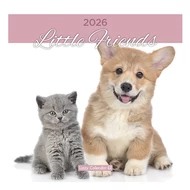 Falinaptár LIZZY CARD 300x600mm álló Little Friends 2026.